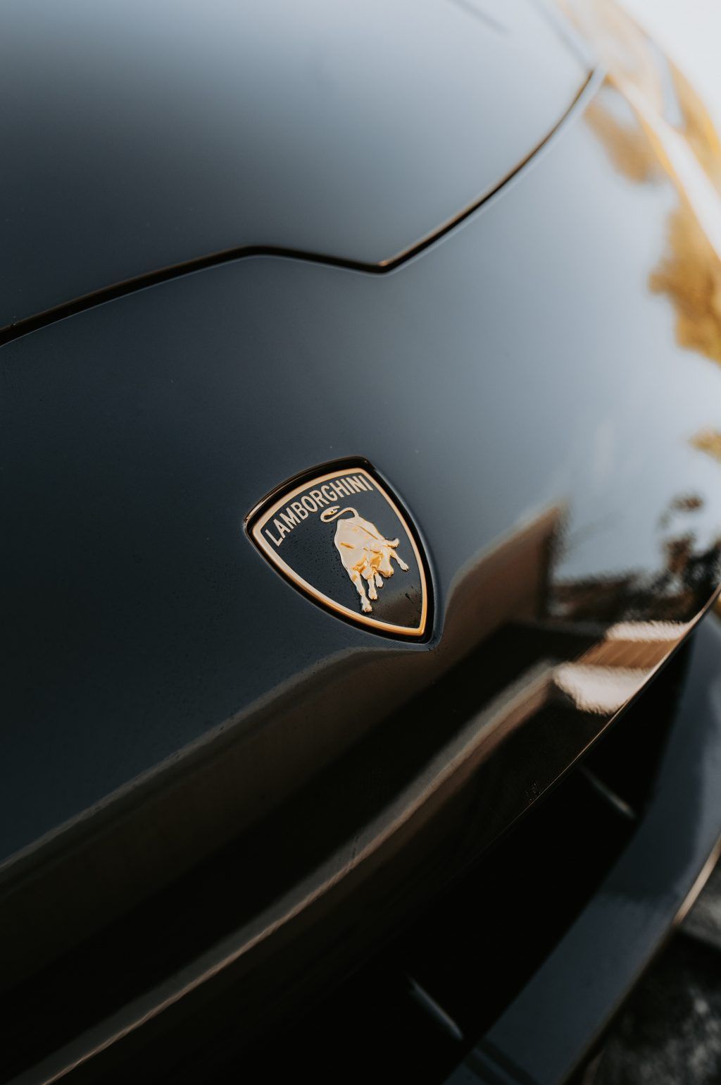 lamborghini_logo