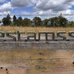 img_8413-28654-scaled-73207