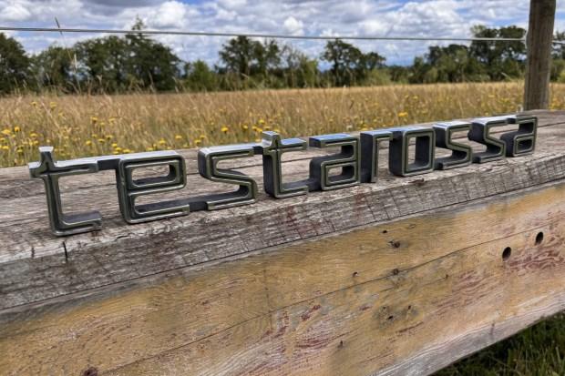 No Reserve: Aluminum Ferrari Testarossa Sign